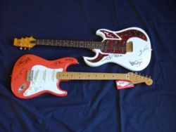 Auction guitars