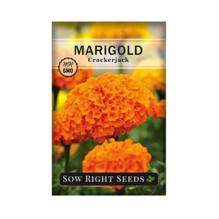 A packet of marigold seeds