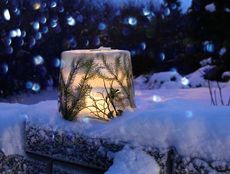 Ice Lantern
