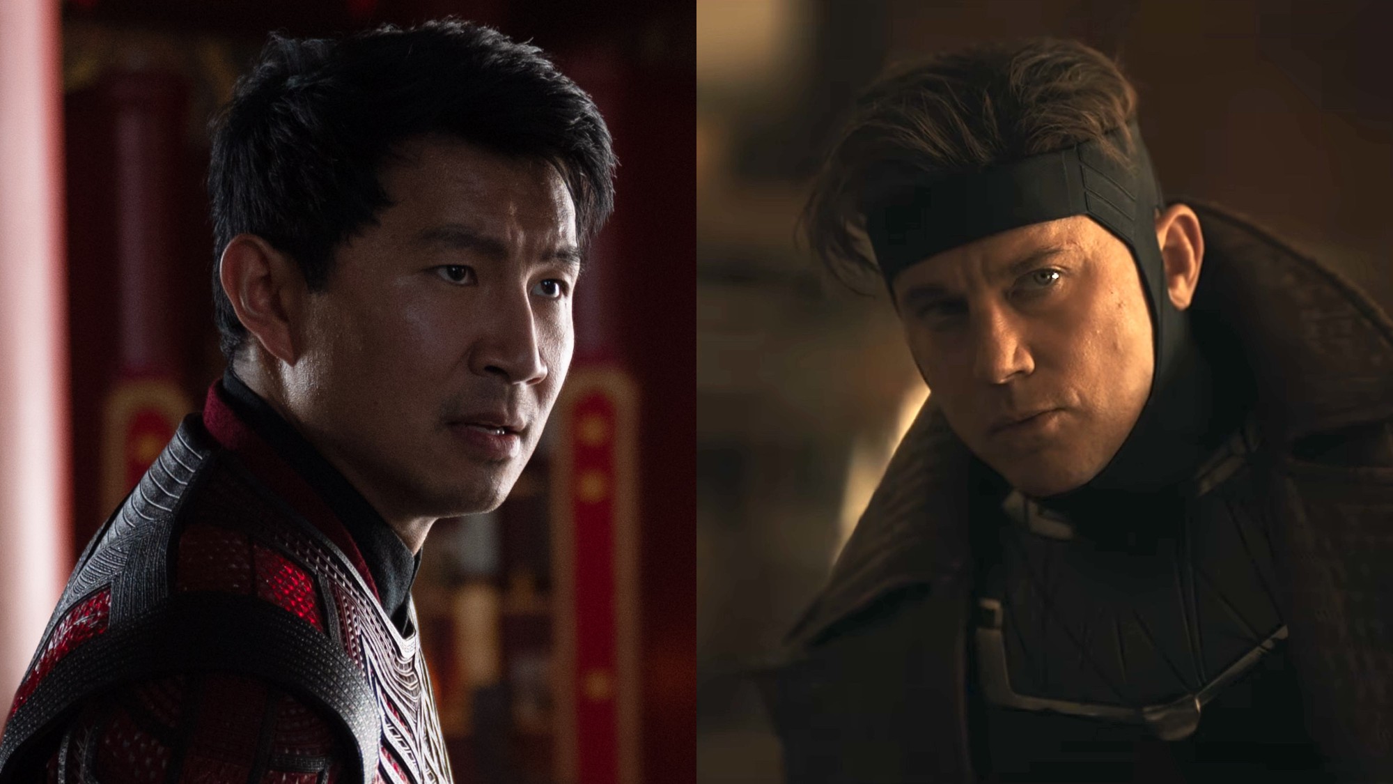 Simu Liu stars in Shang-Chi and the Legend of the Ten Rings, while Channing Tatum stars in Avengers: Doomsday.