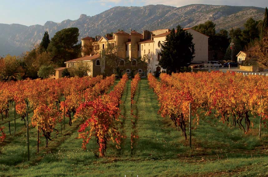 french foreign legion vineyard