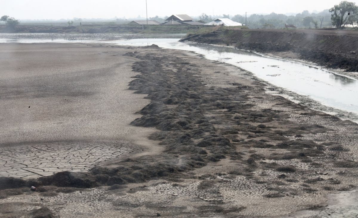 Site of Lusi mud eruption (image taken in 2011) showing part of the mud deposit and houses behind the engineered berm containing the mud. 