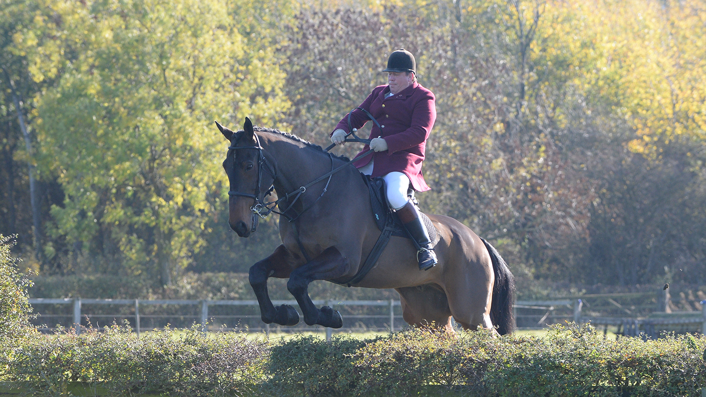 Readyfield Bloodhounds 21 10 2018