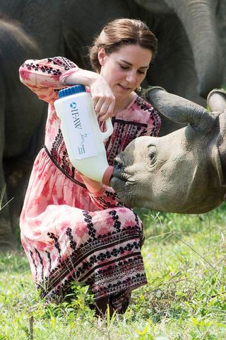 Kate Middleton feeding a rhino