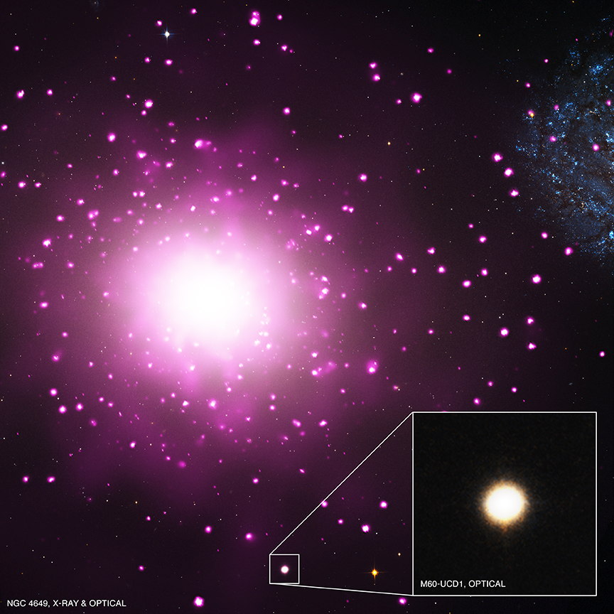 M60-UCD1 (inset) is the densest galaxy found to date. It is near the much larger galaxy NGC 4649 and about 54 million light-years from Earth.