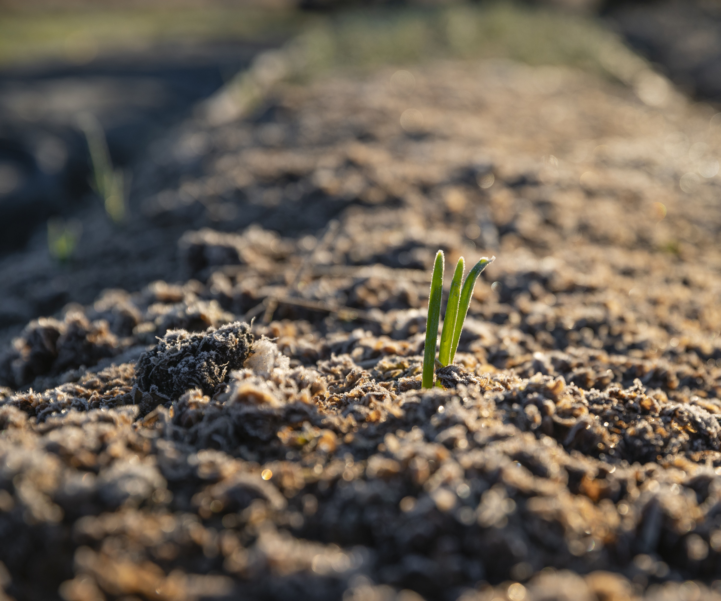 Experts Share How To Maintain Compost Over Winter Homes Gardens   8bdqr2yrtB52TUqAPEwkFe 