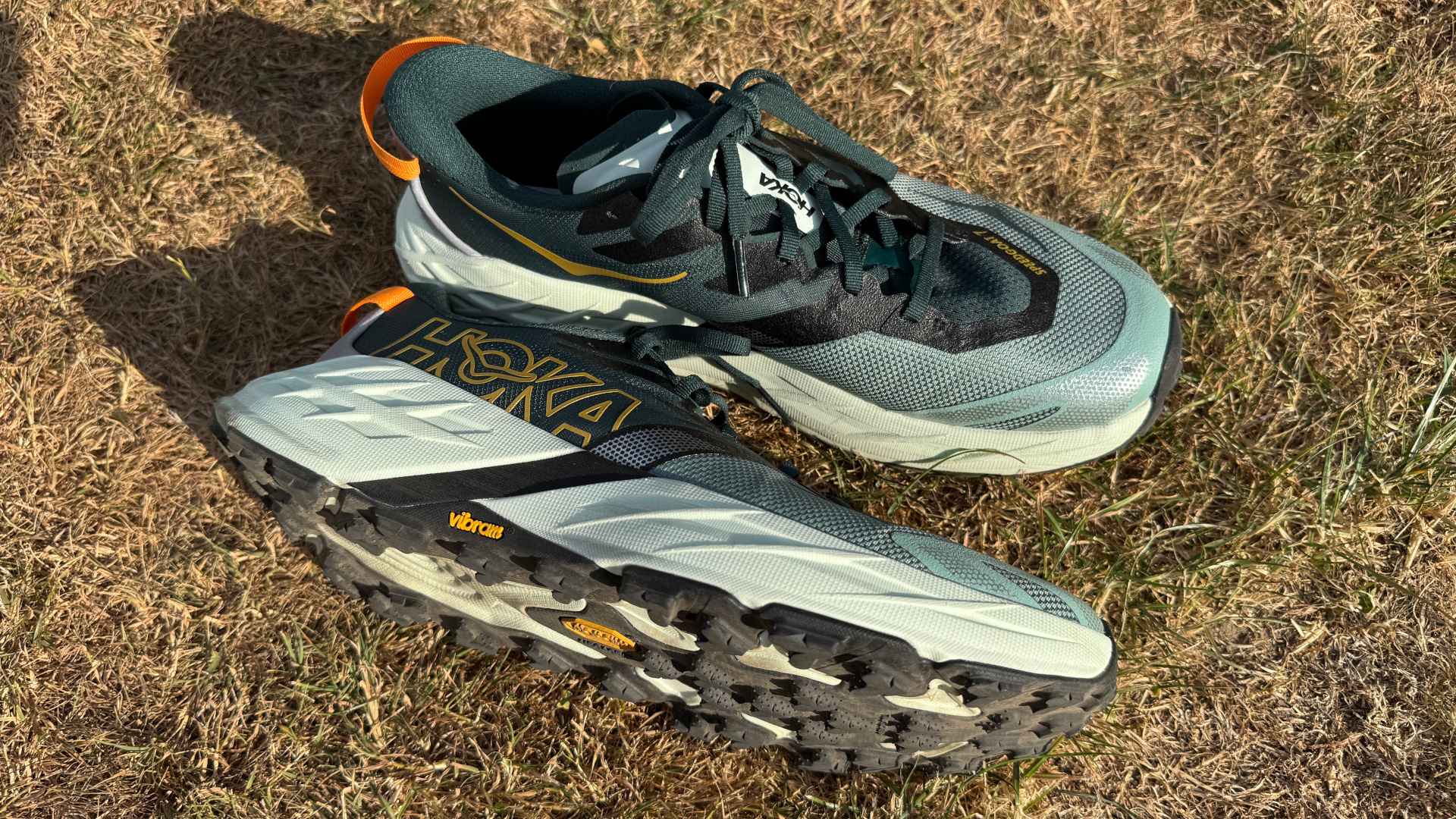 Hoka Speedgoat 7