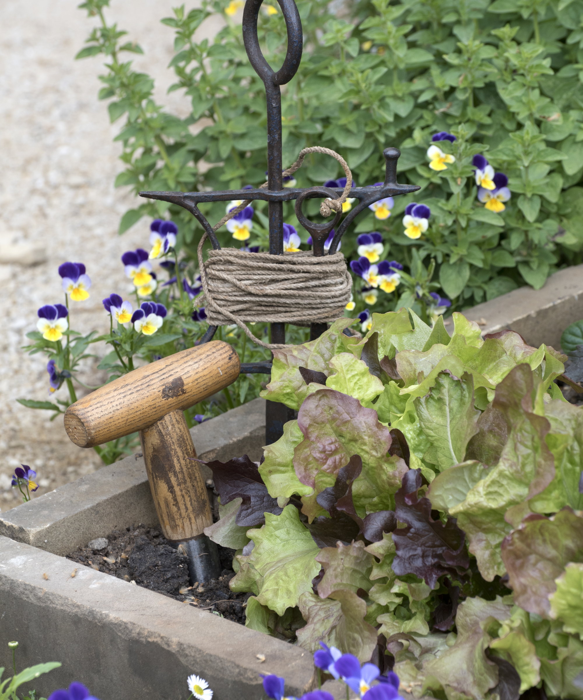 Lettuce growing in a raised bed alongside a trowel and a metal garden line