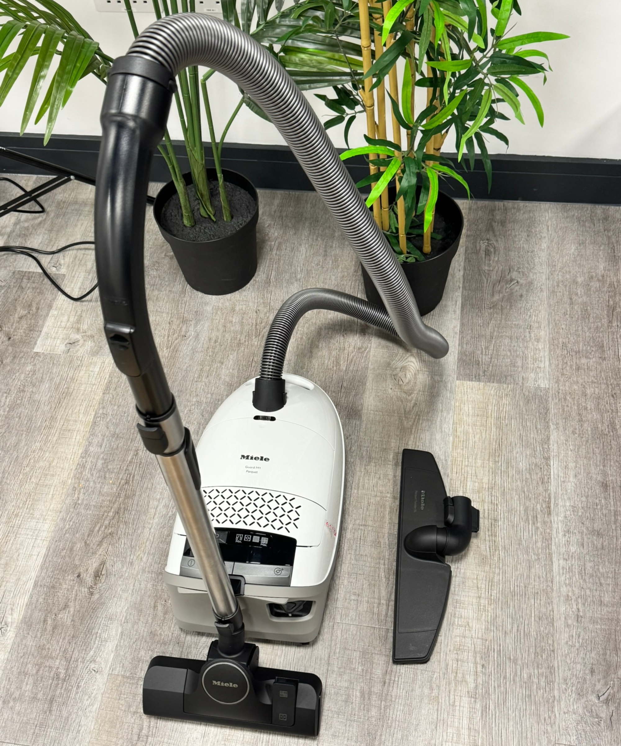 Miele Guard M1 Parquet XL Brilliant on laminate floor in front of tall green plants.