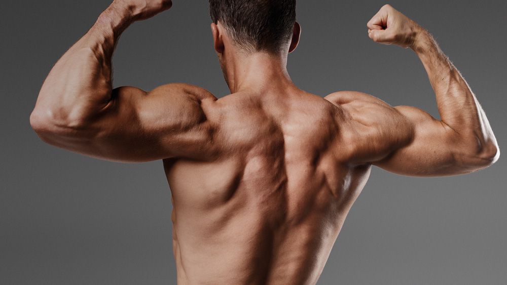 lean muscular shoulders