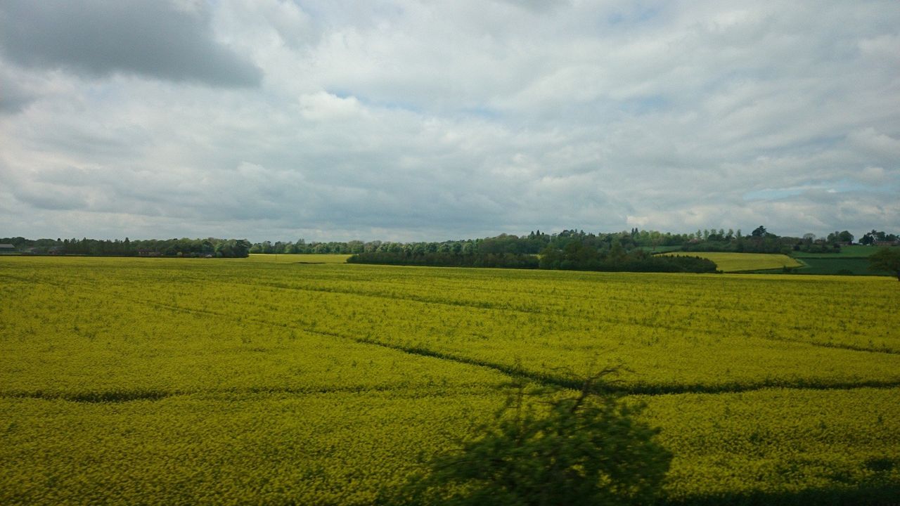 Sony Xperia Z2 camera sample