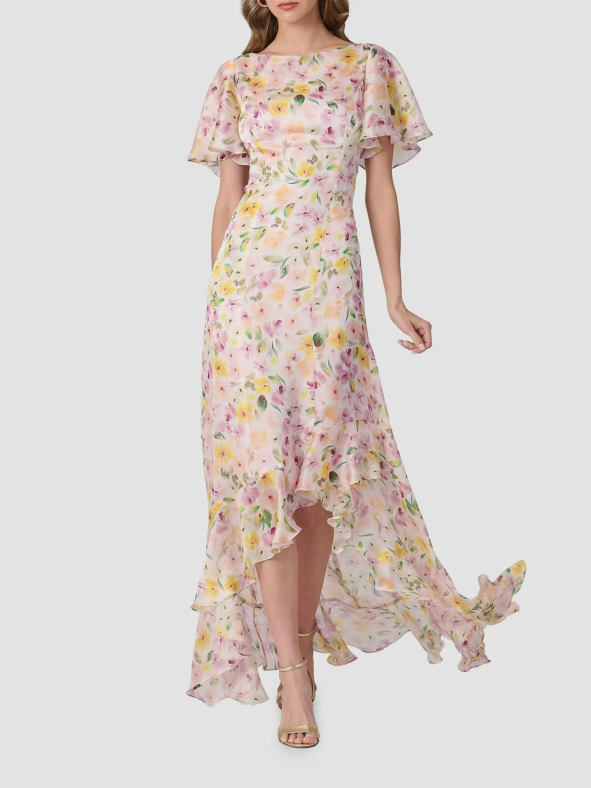 Chauncey Floral Chiffon Maxi Dress