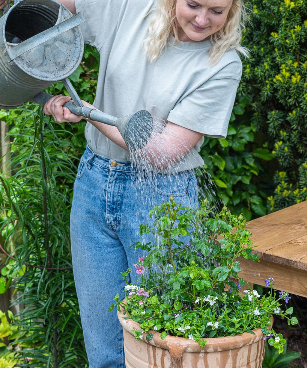 how-to-plant-flowers-in-pots-step-by-step-guide-to-patio-containers