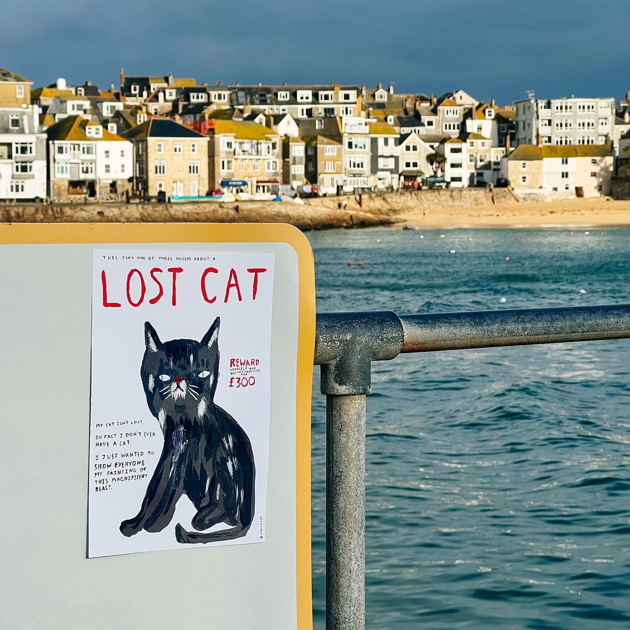 The cat posters