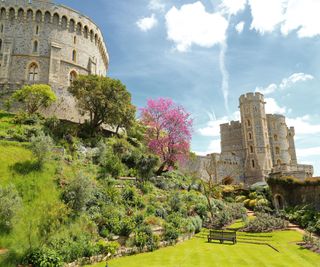 Windsor castle viewed from the lawn in spring