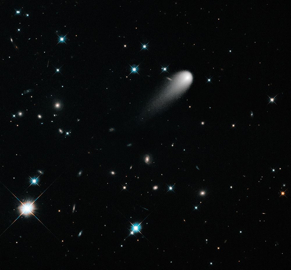 Hubble Photo of Comet ISON, Stars and Galaxies