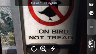 On Bird Not Tread