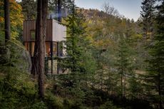 Blakely Island Cabin, a boxy structure raised on stilts above tree canopy in washington state forest