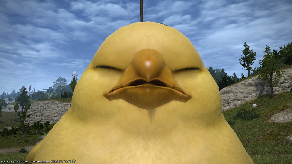 An unhappy Chocobo.