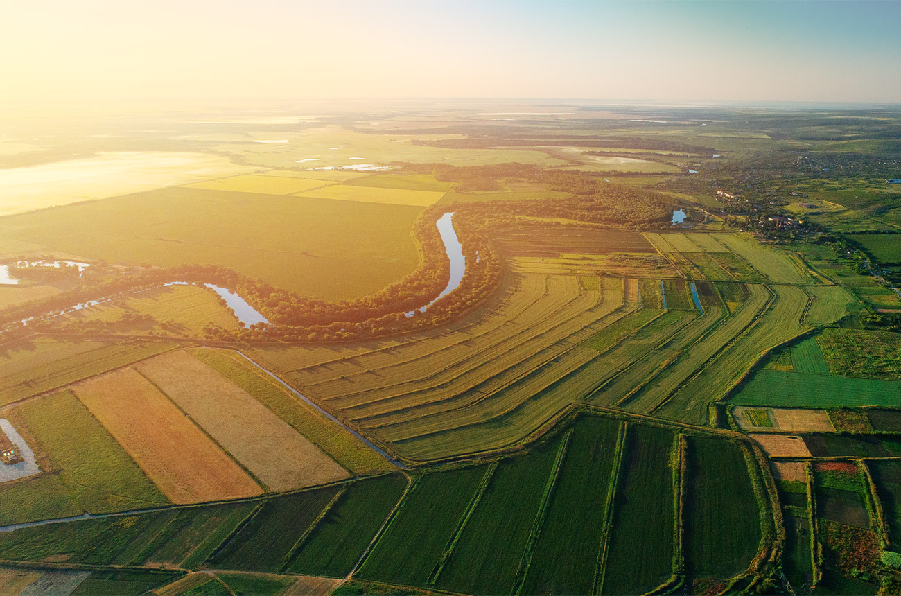 A country of unexpectedly great wines