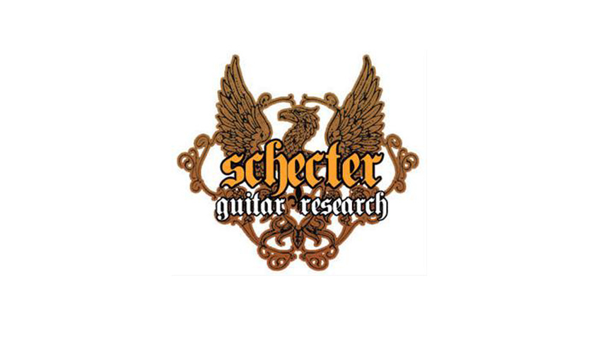 Fake Schecters are being sold on auction sites, so be careful out there