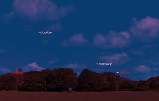 The location of Venus (as well as Mercury and Jupiter) on the western horizon during the early evening sky of July 30, 2016 is shown in this sky map from Starry Night Software. This view shows Venus' location as it appears from mid-northern latitudes.