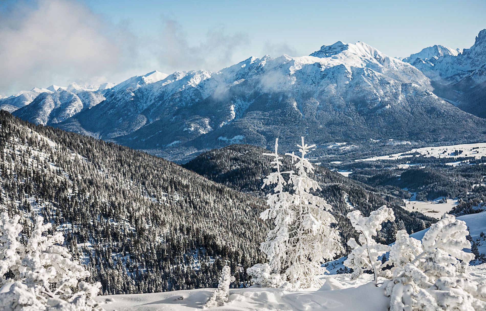 GuruShots - March 2026