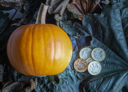 A pumpkin and some pound coins on a pile of autumn leaves