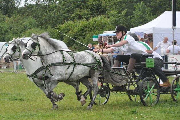 Tristar driver Jane Logan[2]