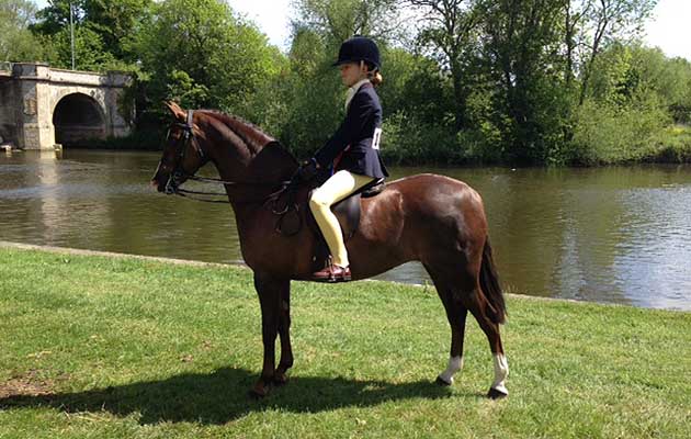 Annandale Maria ridden by Alice Homer at Royal Windsor