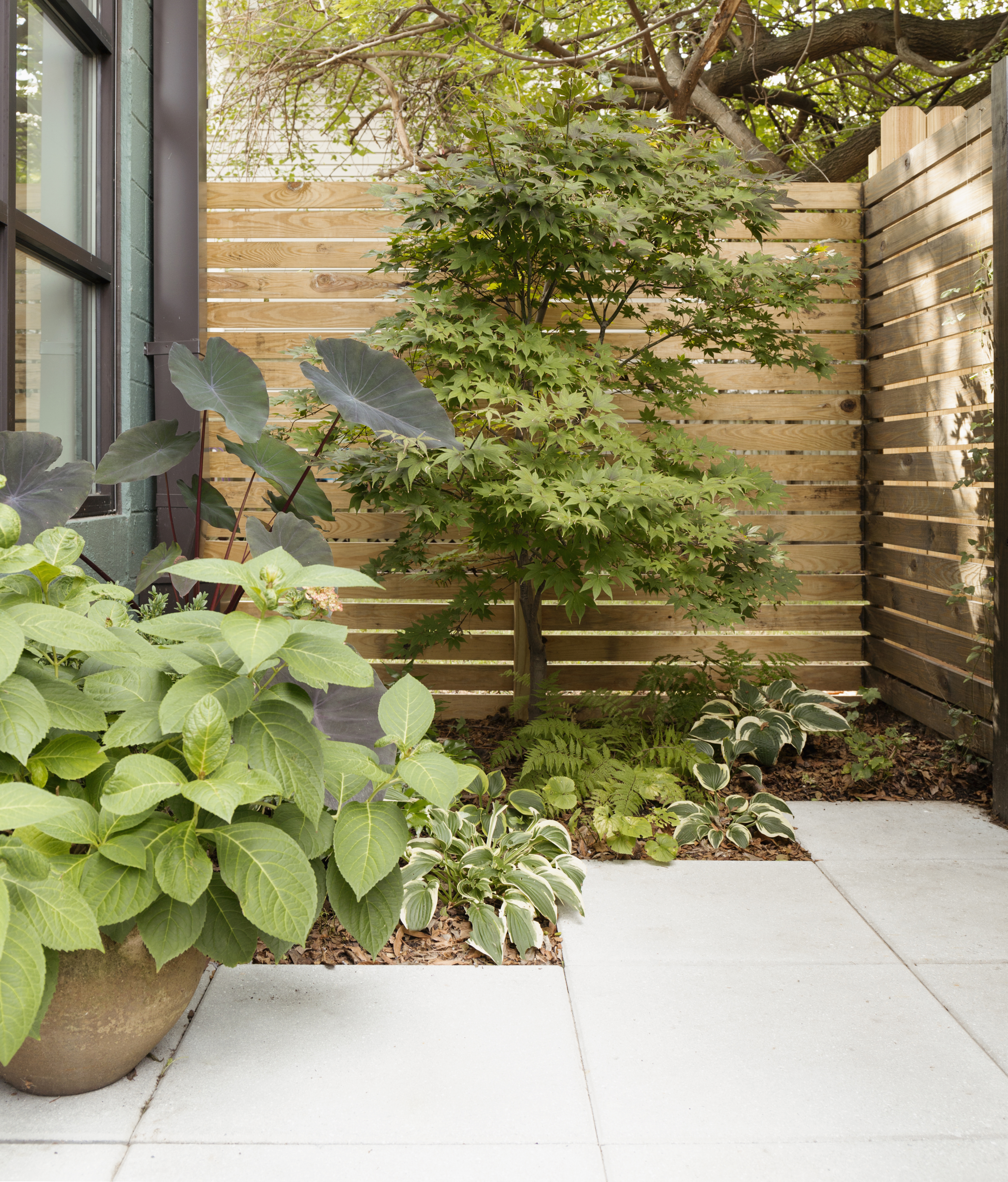planted area with hostas and bark mulch, pavers, and contain with leafy foliage