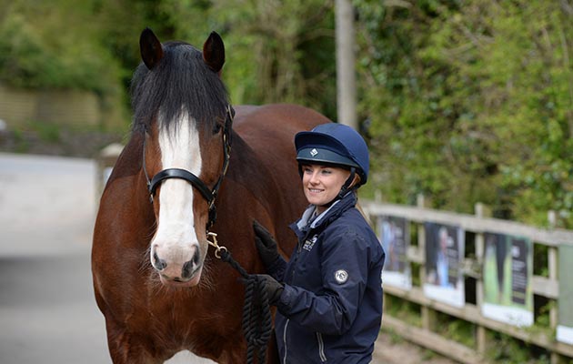 Kavaner: Mare &amp;amp; Foal Sanctuary