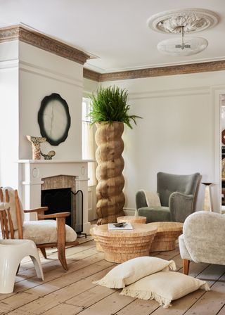 a neutral living room with a large potted plant