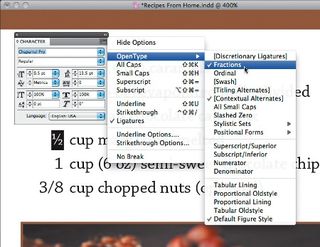 Open type format fractions