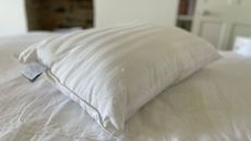 The Fine Bedding Company Silk Pillow