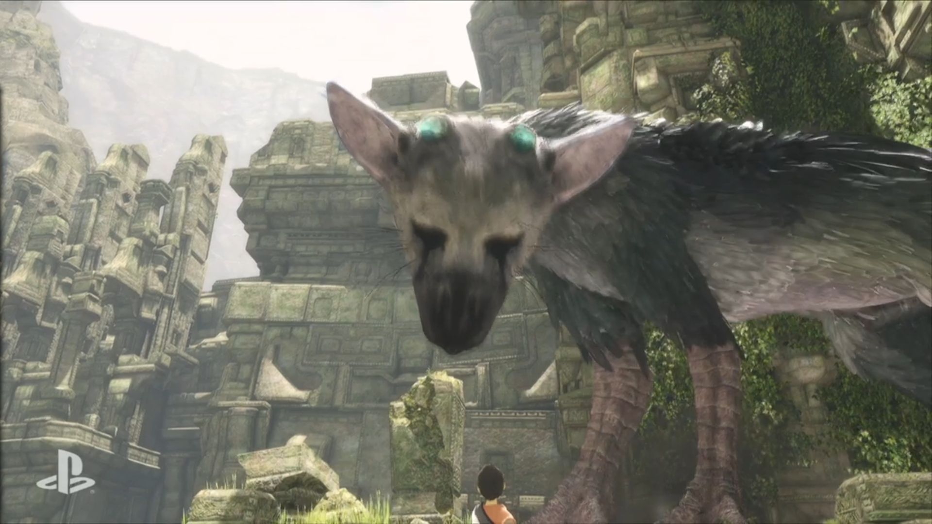  The Last Guardian : Video Games