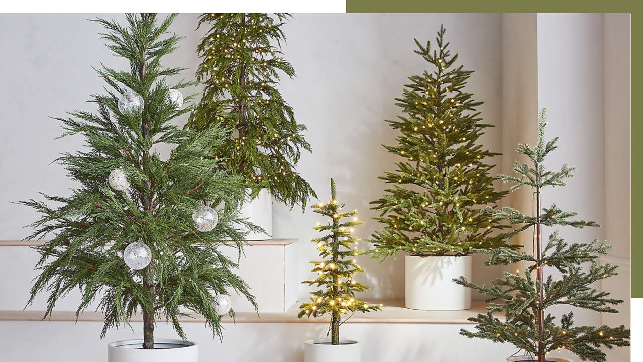 Image of five different sized Christmas trees all minimally decorated with just lights and bare branches.