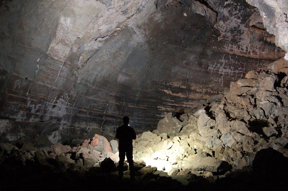 8 New Species Discovered in Lava-Tube Caves | Live Science