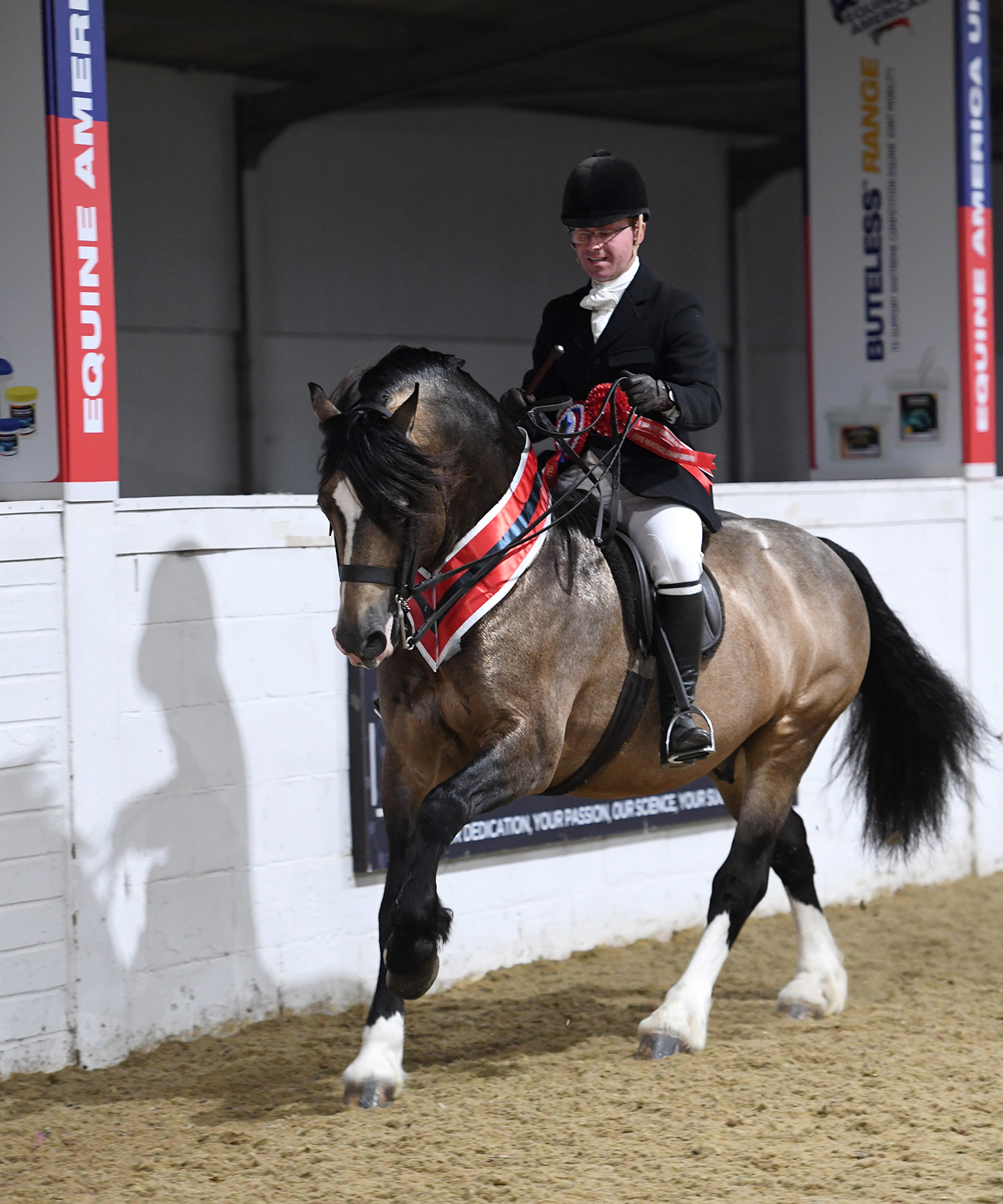 Heritage Show 17.10.2149343