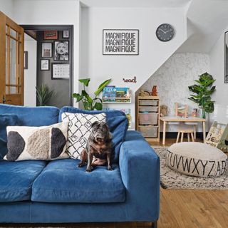 Living area with blue sofa and neutral cushions and berber rug