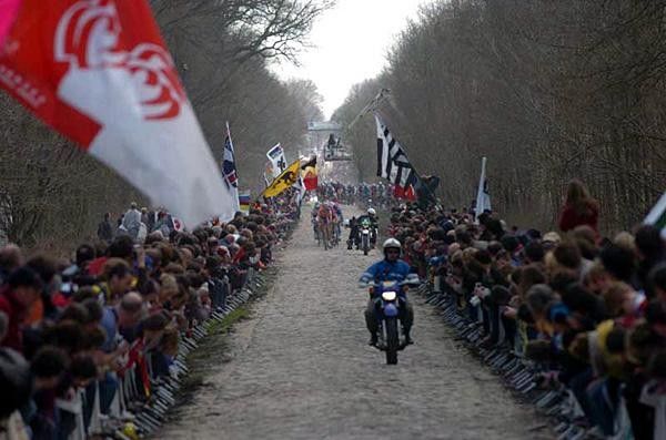 The crowd is ready at the La For&ecirc;t d'Arenberg