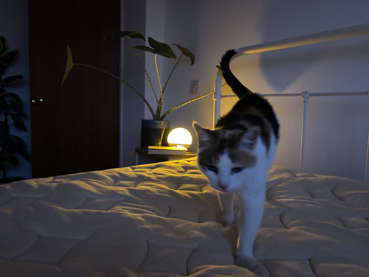 The image shows the beige Birch Elite Mattress in our mattress reviewer's home during the testing process