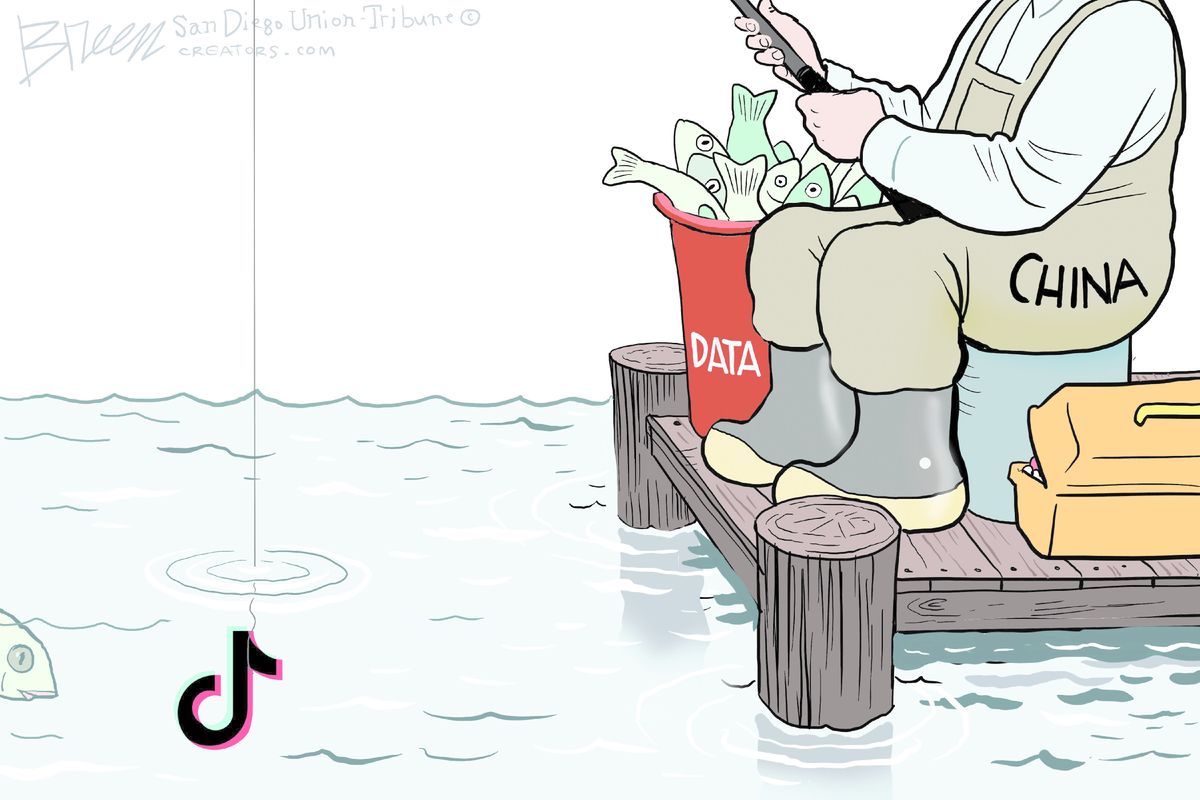 Fishing for data with TikTok The Week