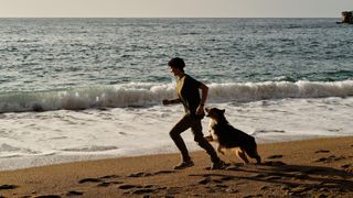 Australian shepherd dog being exercised along the seashore