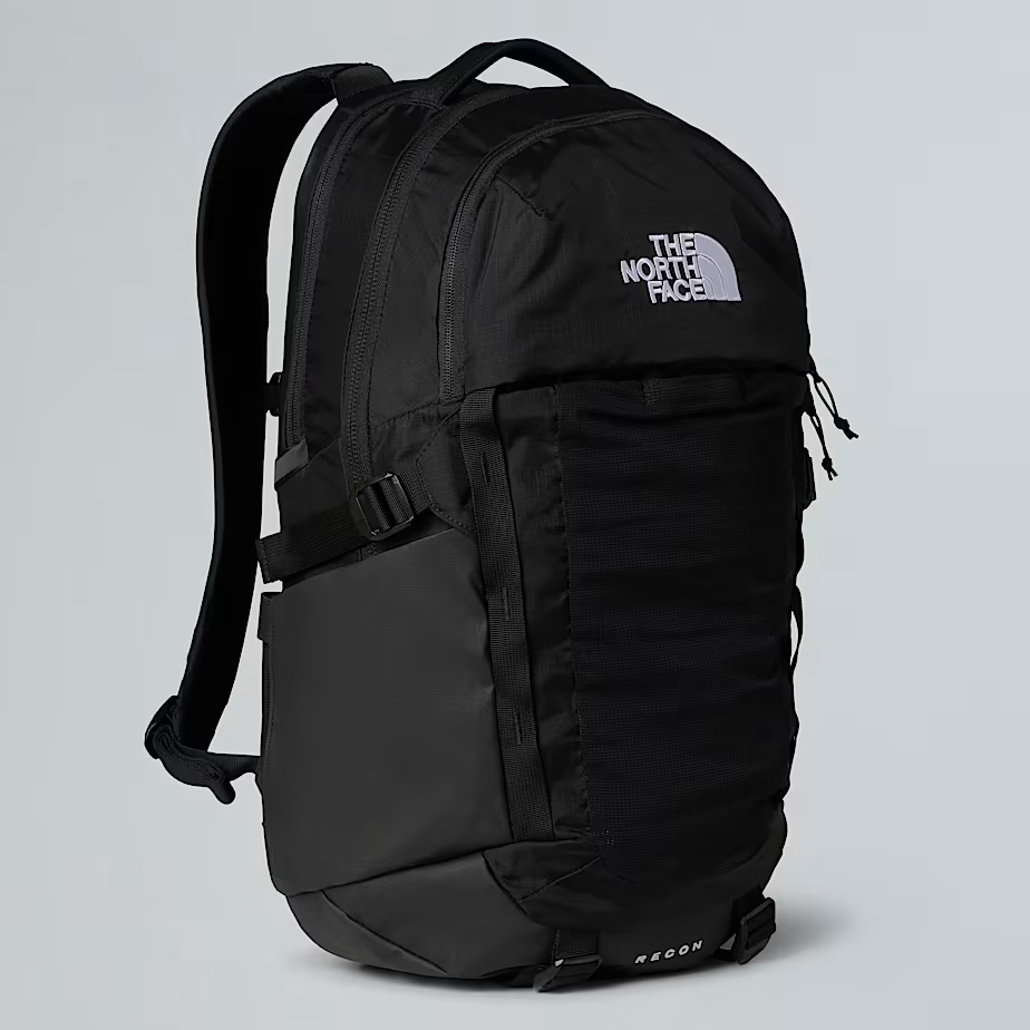 Black blackback on gray background 
