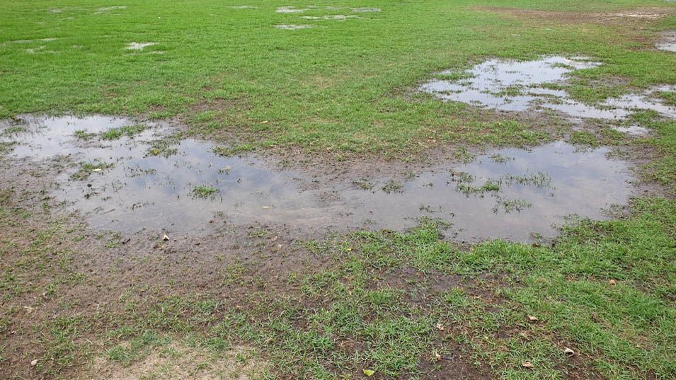 How to fix a waterlogged lawn for a healthy yard | Tom's Guide