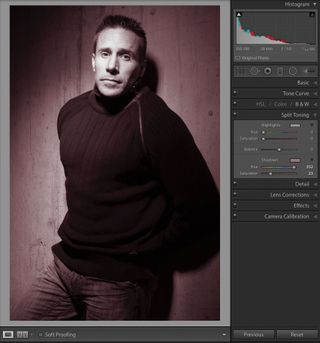 Lightroom selenium toning