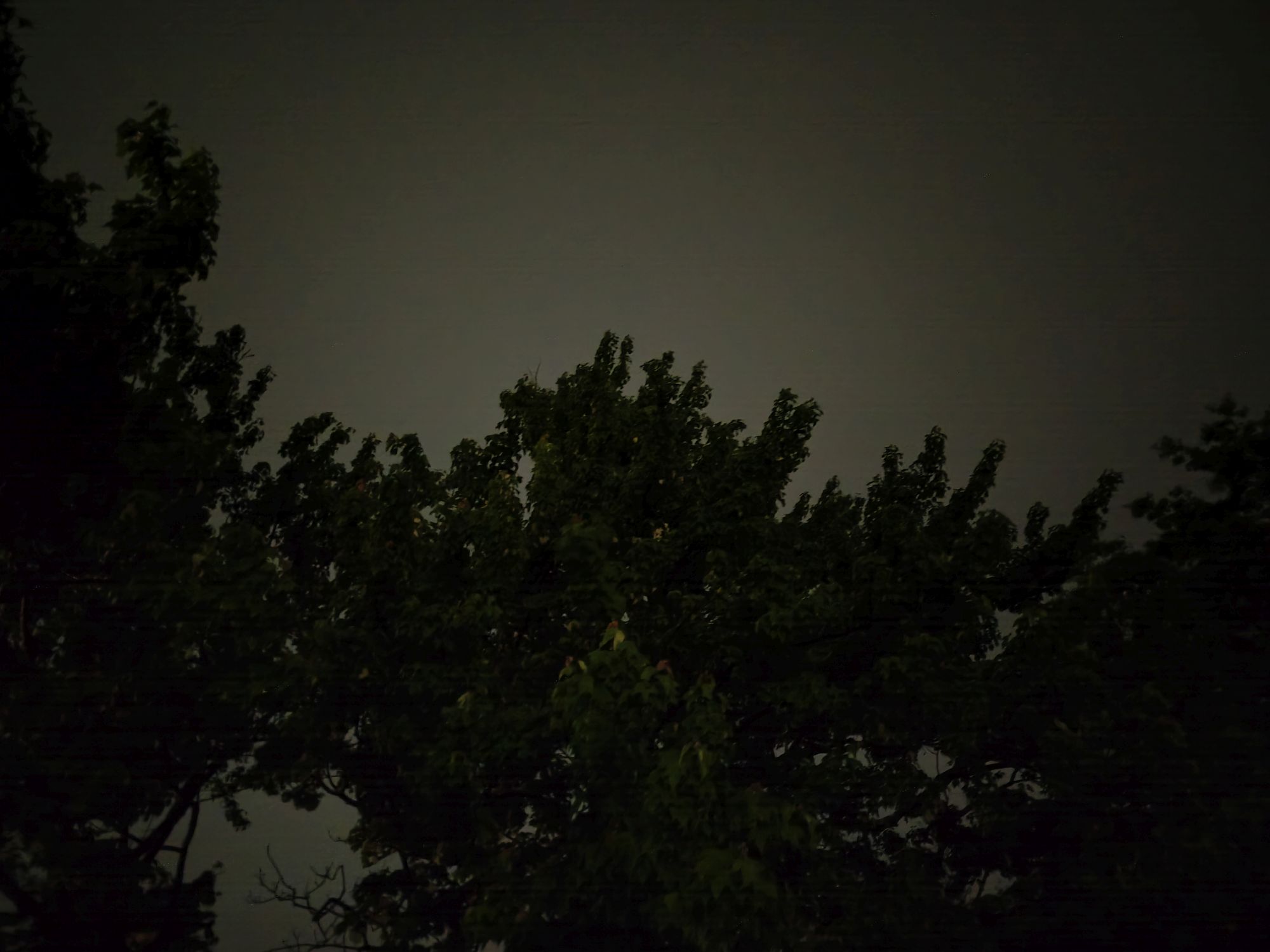Motorola Razr Ultra 2025 low light sample.