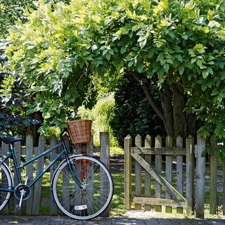 garden with wooden fencing and bicycle