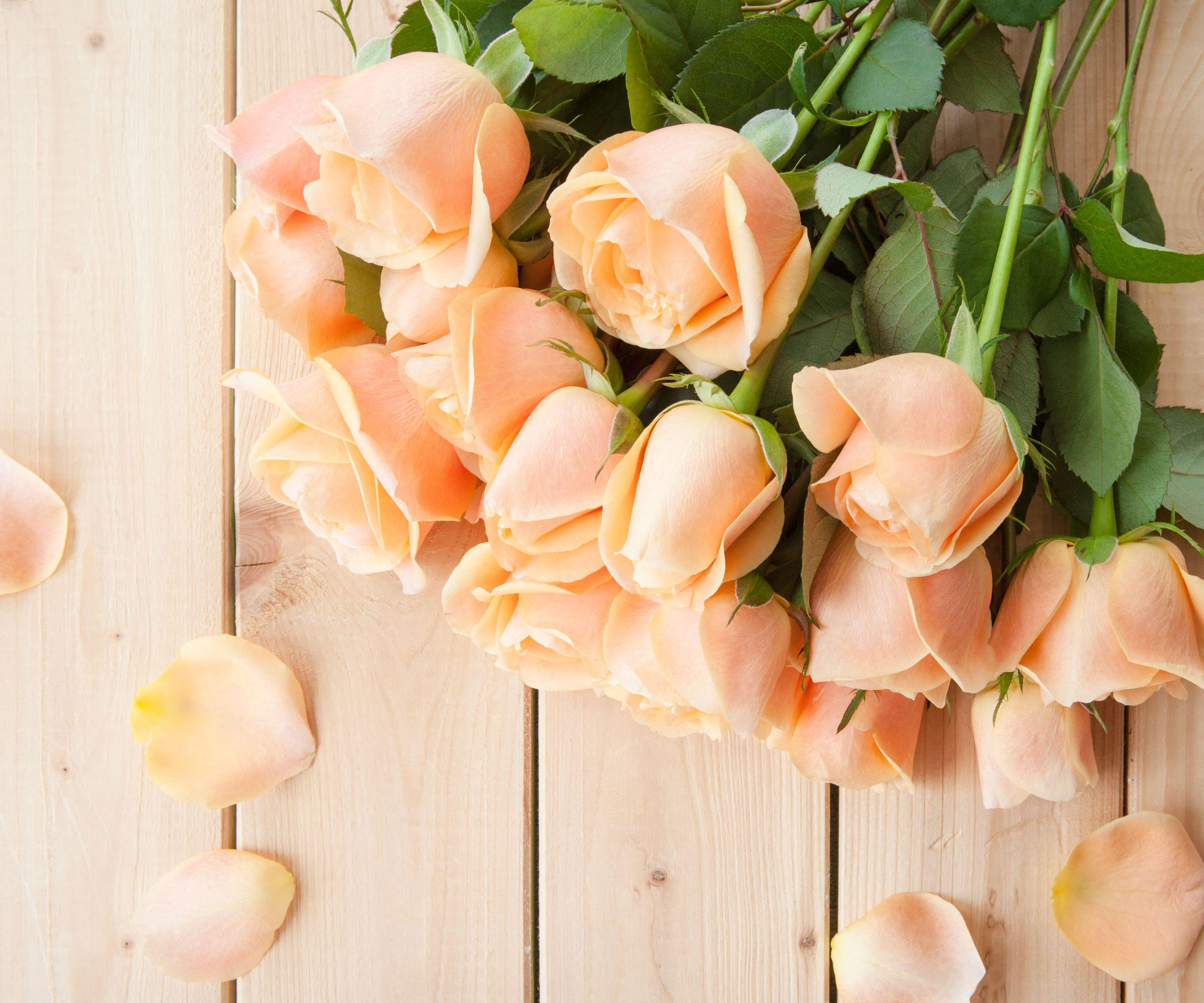 peach roses lying on wooden table with petals strewn nearby
